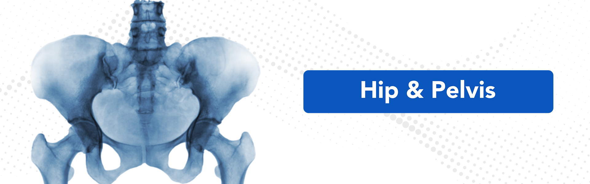 Hip & Pelvis