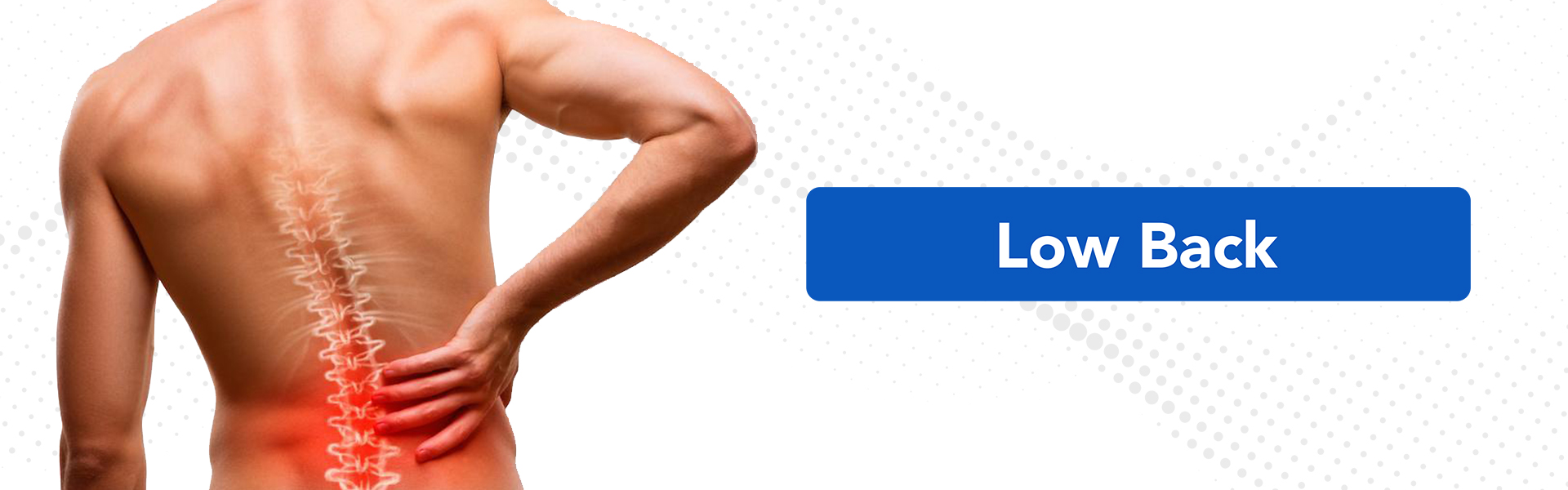Low Back
