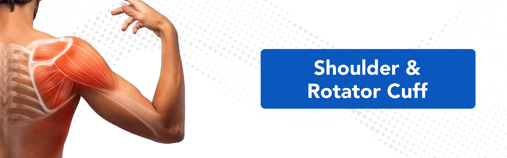Shoulder & Rotator Cuff