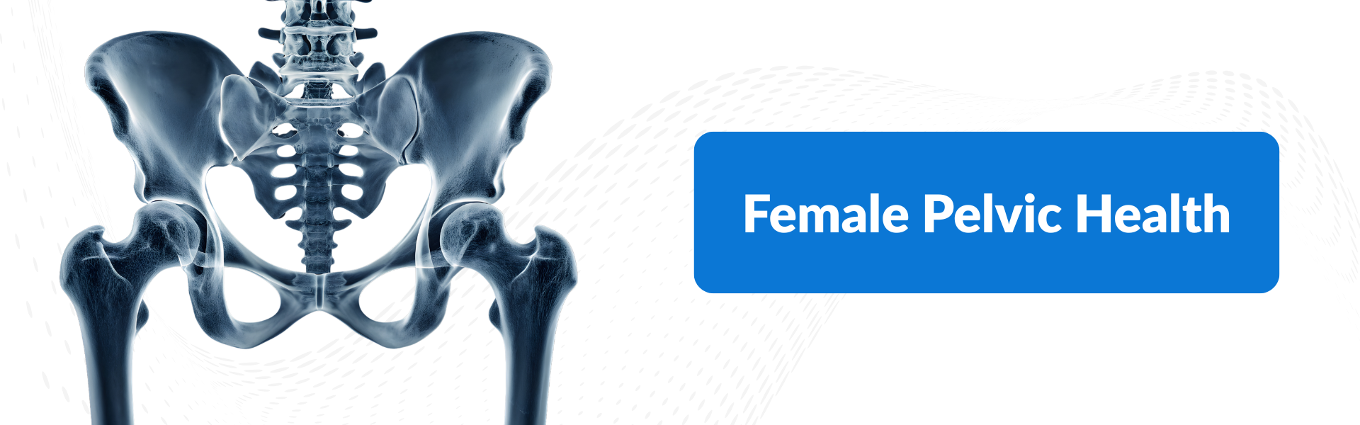 Female Pelvic Health 2